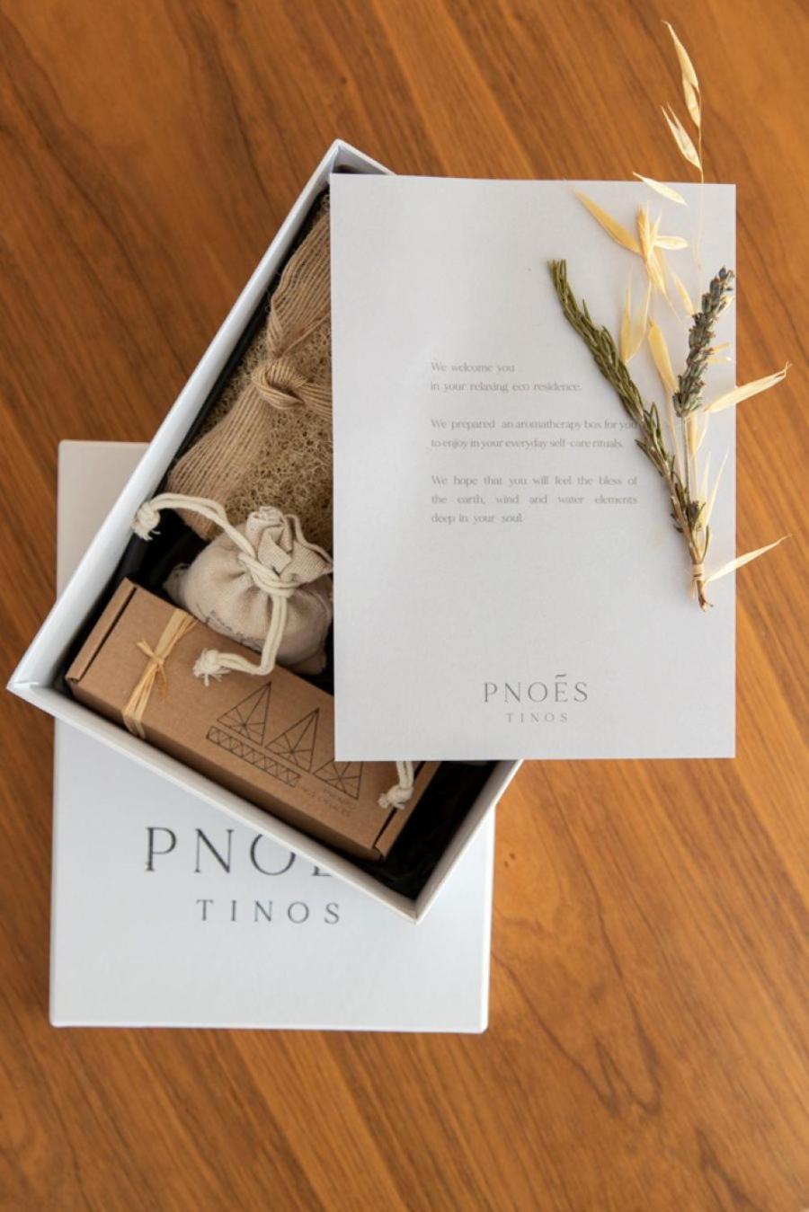 Pnoes Tinos Villa ภายนอก รูปภาพ